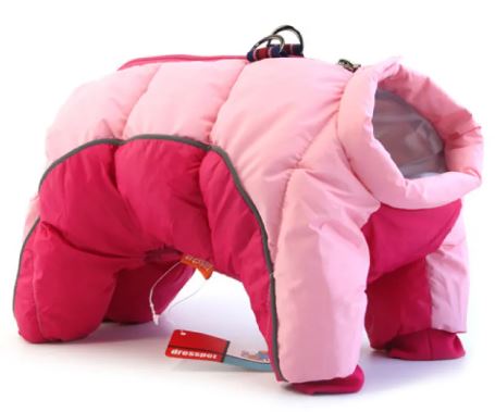 The Snow Day Collection — Winter Coats & Sweaters for Dogs