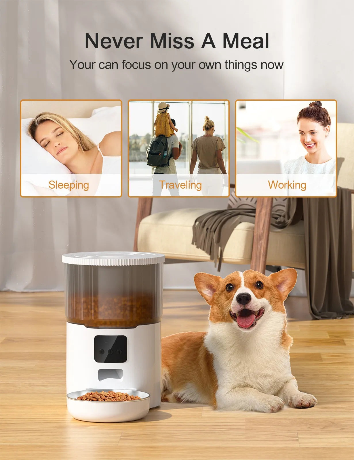 The Chow Clock — Smart Automatic Dog Feeder