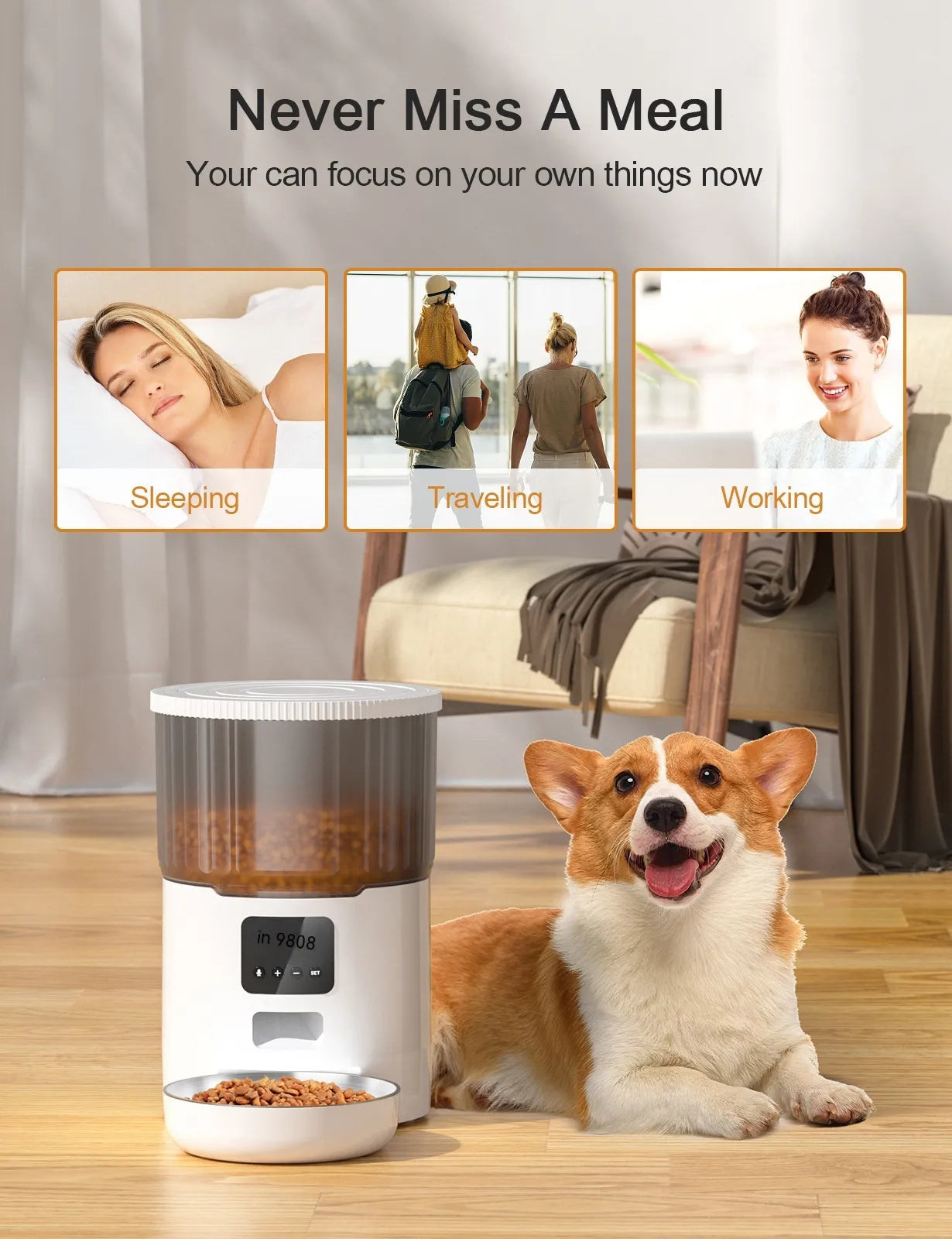 The Chow Clock — Smart Automatic Dog Feeder