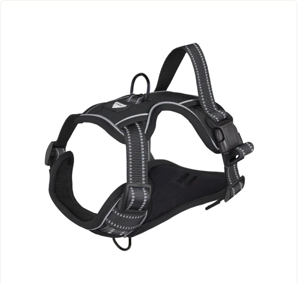 The Glow Getter — Reflective Dog Harness for Night Walks