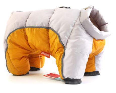The Snow Day Collection — Winter Coats & Sweaters for Dogs