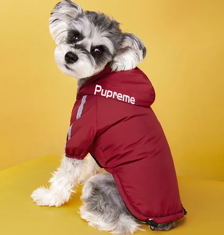 The Toasty Trotter — Velvet-Lined Winter Dog Jacket