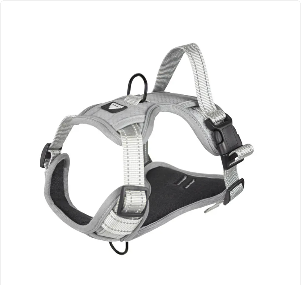 The Glow Getter — Reflective Dog Harness for Night Walks