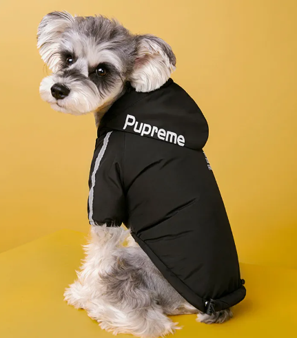 The Toasty Trotter — Velvet-Lined Winter Dog Jacket