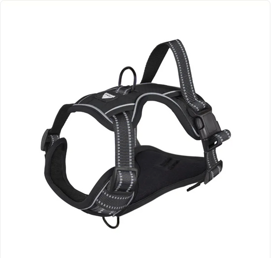 The Glow Getter — Reflective Dog Harness for Night Walks