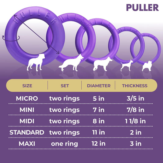 The Ring Leader — Outdoor Tug & Fetch Ring for Big Dogs