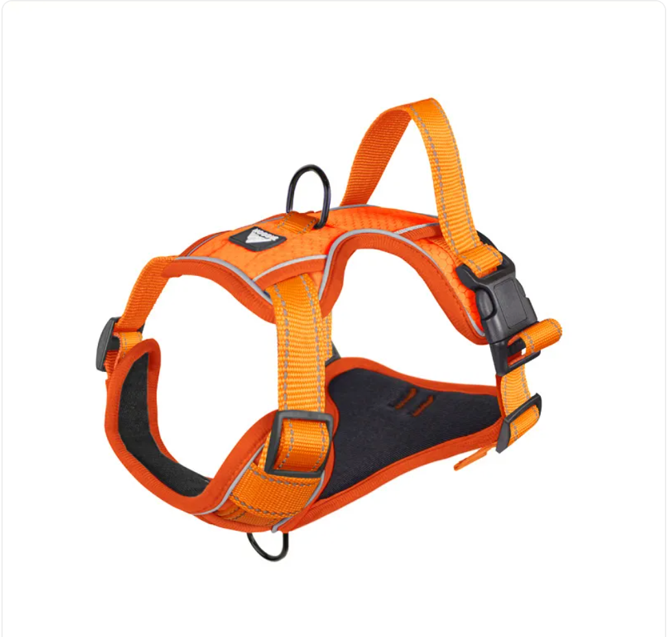The Glow Getter — Reflective Dog Harness for Night Walks